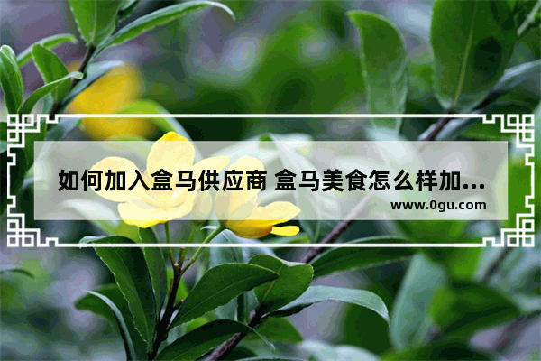 如何加入盒马供应商 盒马美食怎么样加盟的呢