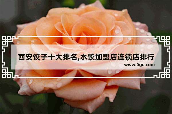 西安饺子十大排名,水饺加盟店连锁店排行