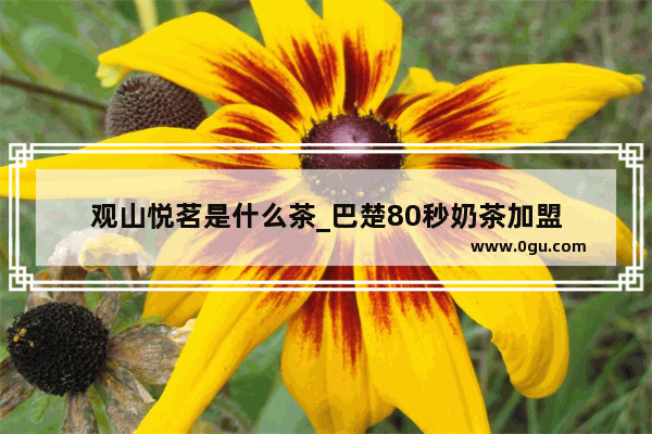 观山悦茗是什么茶_巴楚80秒奶茶加盟