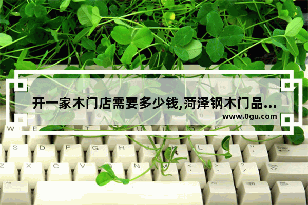 开一家木门店需要多少钱,菏泽钢木门品牌加盟