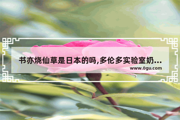 书亦烧仙草是日本的吗,多伦多实验室奶茶加盟