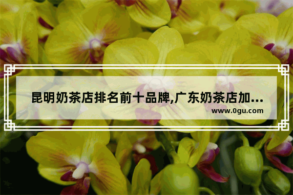 昆明奶茶店排名前十品牌,广东奶茶店加盟品牌有哪些