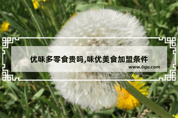 优味多零食贵吗,味优美食加盟条件