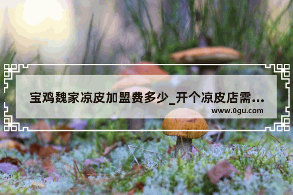 宝鸡魏家凉皮加盟费多少_开个凉皮店需要多少钱 凉皮加盟费多少钱