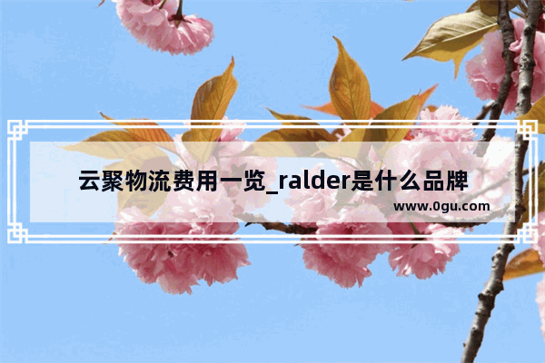 云聚物流费用一览_ralder是什么品牌
