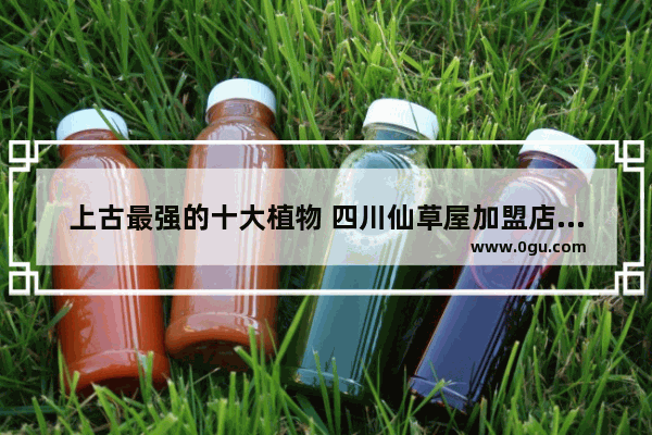 上古最强的十大植物 四川仙草屋加盟店排行榜