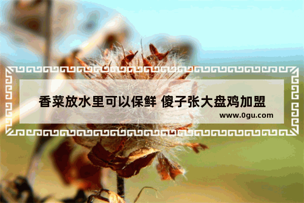香菜放水里可以保鲜 傻子张大盘鸡加盟