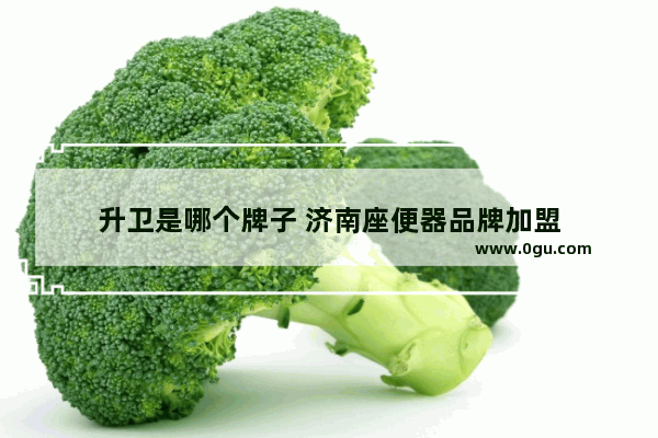 升卫是哪个牌子 济南座便器品牌加盟