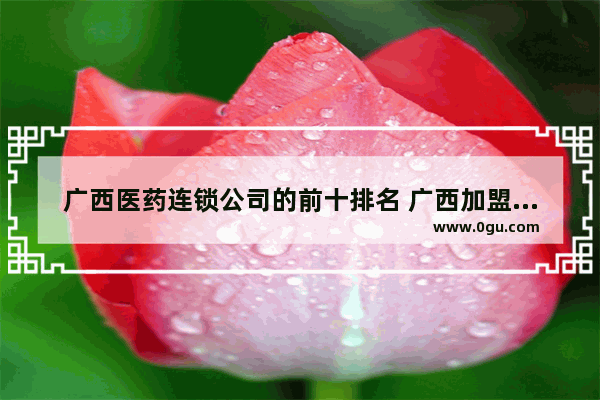 广西医药连锁公司的前十排名 广西加盟连锁特色餐饮品牌