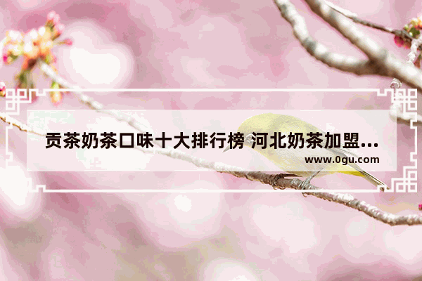 贡茶奶茶口味十大排行榜 河北奶茶加盟选哪家好点