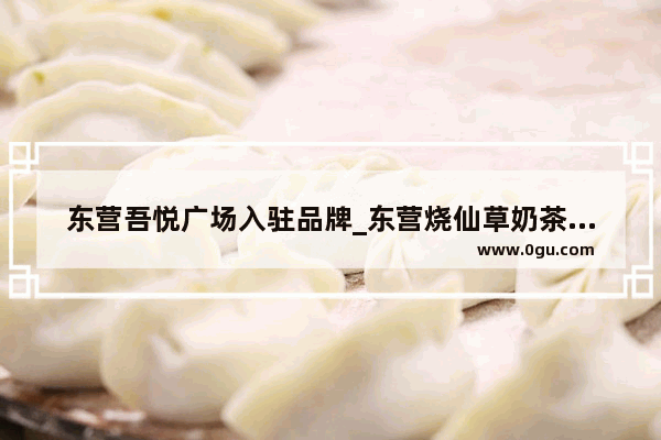 东营吾悦广场入驻品牌_东营烧仙草奶茶加盟