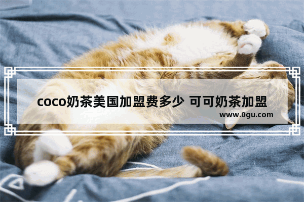 coco奶茶美国加盟费多少 可可奶茶加盟费多少
