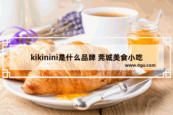 kikinini是什么品牌 莞城美食小吃探店加盟