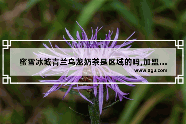 蜜雪冰城青兰乌龙奶茶是区域的吗,加盟乌泷奶茶店怎么样