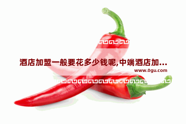 酒店加盟一般要花多少钱呢,中端酒店加盟什么最好