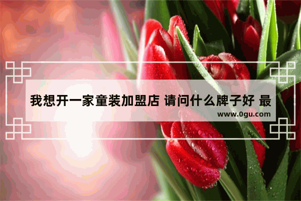 我想开一家童装加盟店 请问什么牌子好 最可靠 5元童装加盟店哪家好