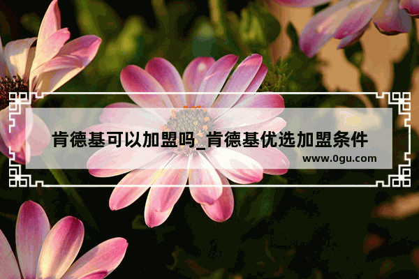 肯德基可以加盟吗_肯德基优选加盟条件