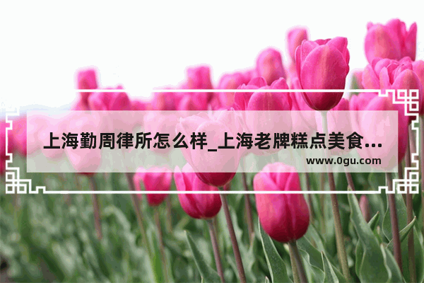 上海勤周律所怎么样_上海老牌糕点美食馆加盟