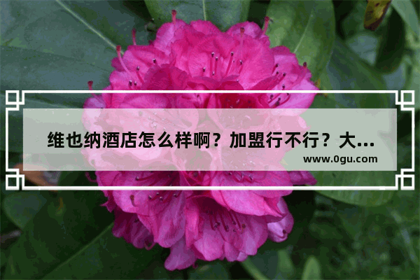 维也纳酒店怎么样啊？加盟行不行？大家给点建议~,加盟酒店什么店好做
