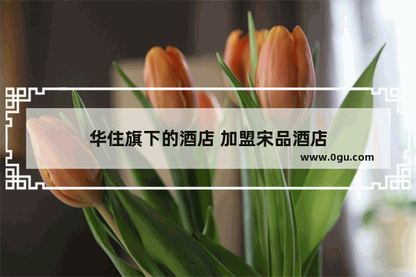 华住旗下的酒店 加盟宋品酒店