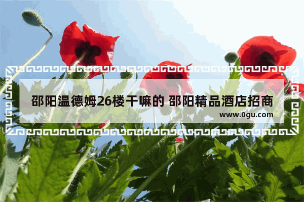 邵阳温德姆26楼干嘛的 邵阳精品酒店招商加盟