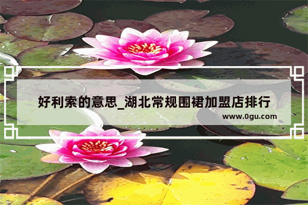 好利索的意思_湖北常规围裙加盟店排行