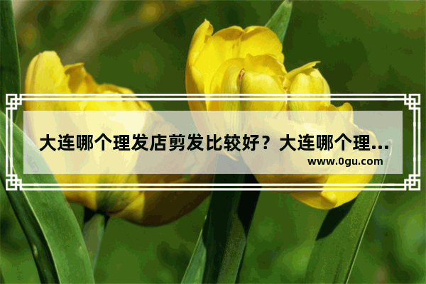 大连哪个理发店剪发比较好？大连哪个理发店剪,发廊线上加盟店排行榜大连