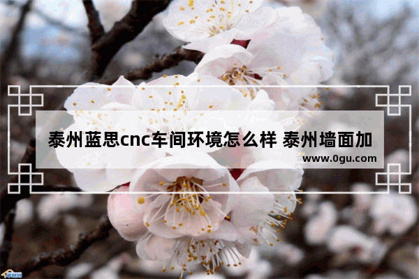 泰州蓝思cnc车间环境怎么样 泰州墙面加盟店排行榜