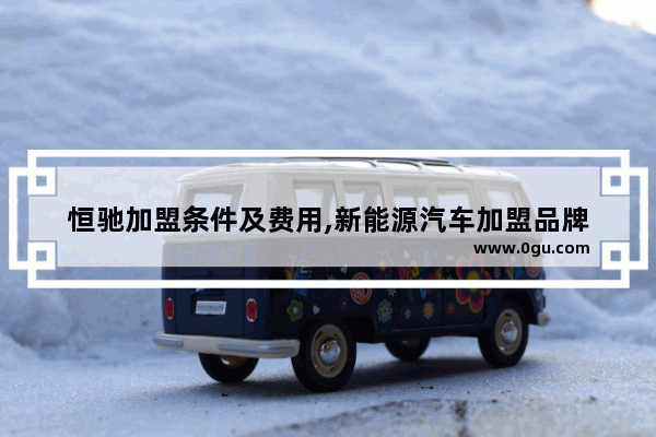 恒驰加盟条件及费用,新能源汽车加盟品牌