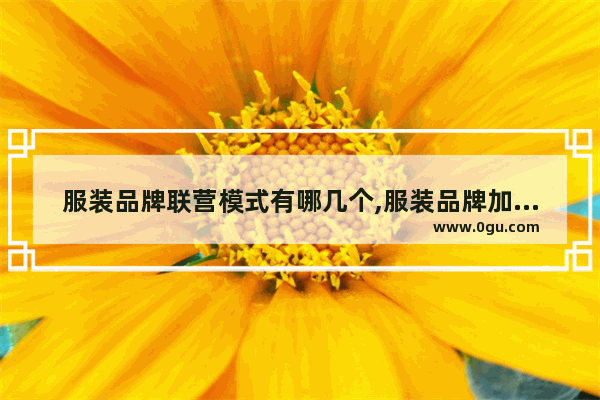 服装品牌联营模式有哪几个,服装品牌加盟店排行榜前十
