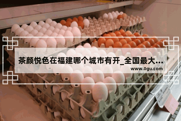 茶颜悦色在福建哪个城市有开_全国最大果冻生产基地