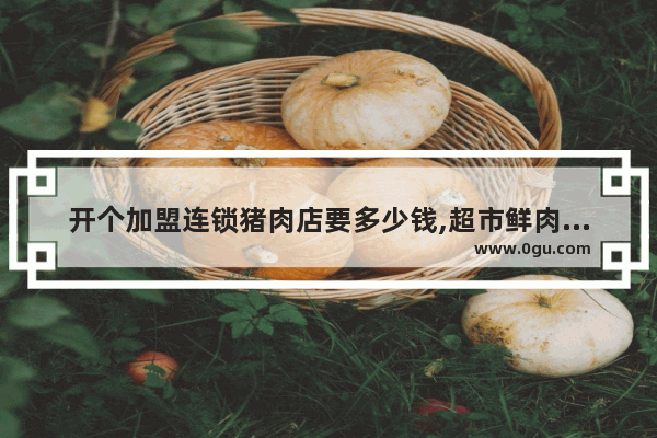 开个加盟连锁猪肉店要多少钱,超市鲜肉类档口加盟店排行