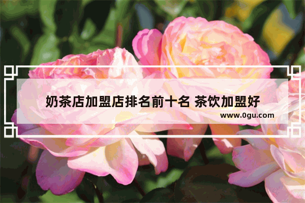 奶茶店加盟店排名前十名 茶饮加盟好