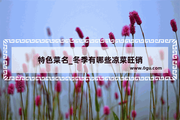 特色菜名_冬季有哪些凉菜旺销