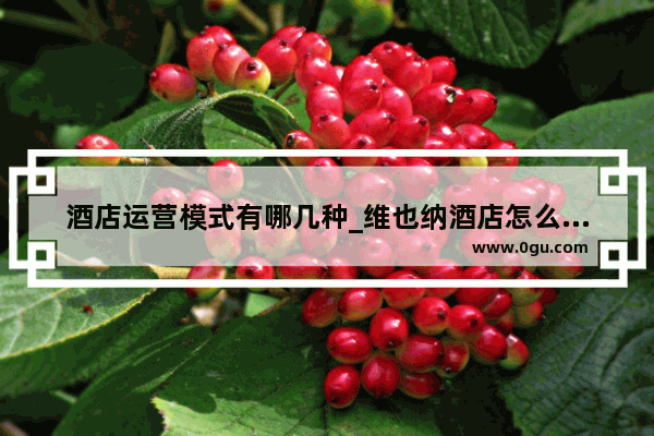 酒店运营模式有哪几种_维也纳酒店怎么样啊？加盟行不行？大家给点建议~