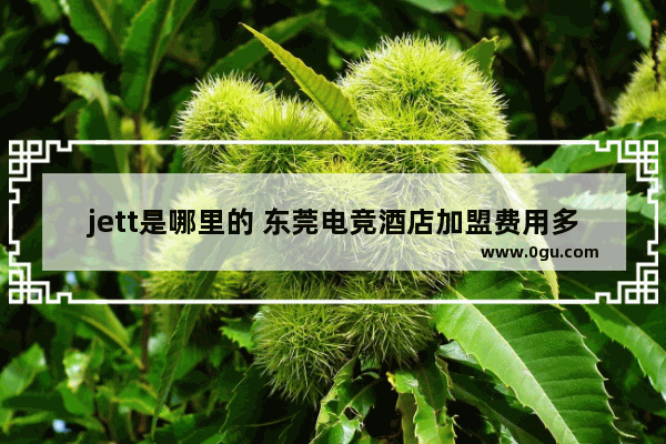 jett是哪里的 东莞电竞酒店加盟费用多少