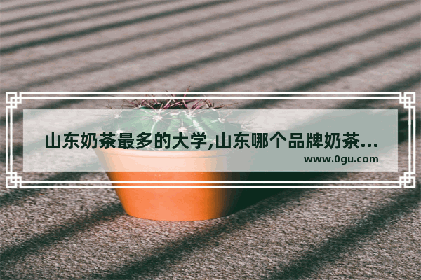 山东奶茶最多的大学,山东哪个品牌奶茶加盟好