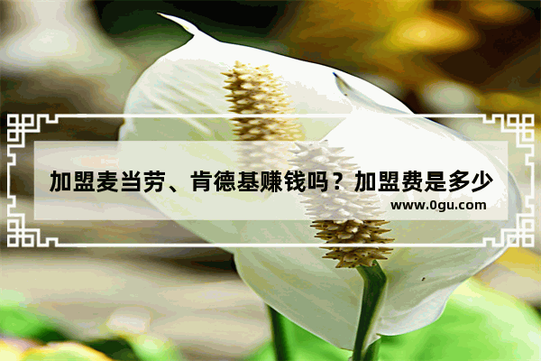 加盟麦当劳、肯德基赚钱吗？加盟费是多少
