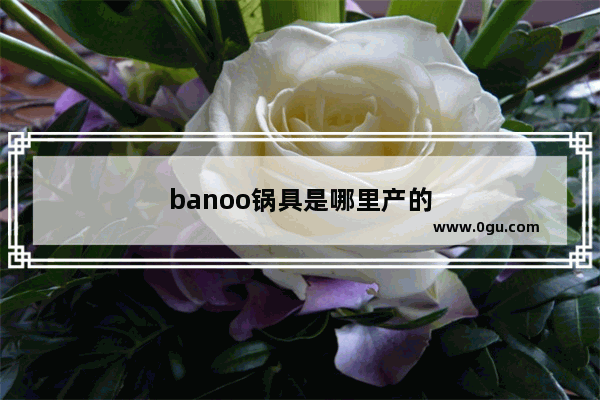 banoo锅具是哪里产的