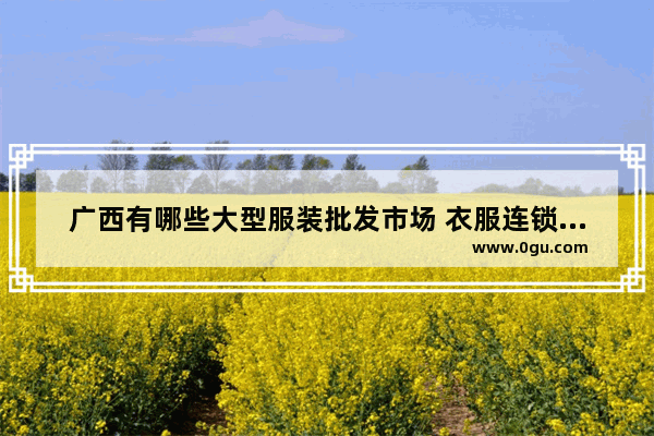 广西有哪些大型服装批发市场 衣服连锁加盟店排行榜广西