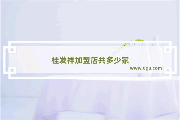 桂发祥加盟店共多少家