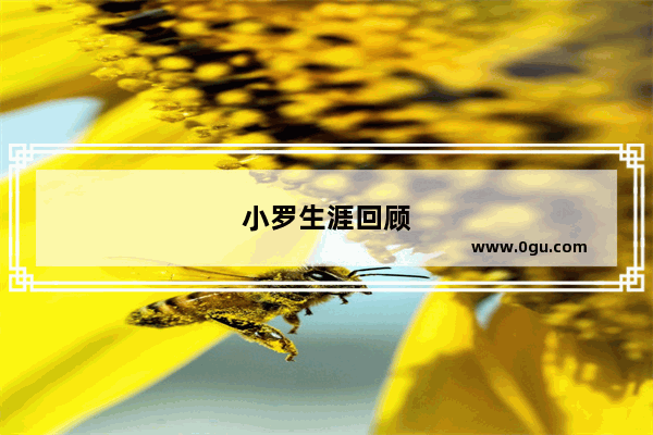 小罗生涯回顾