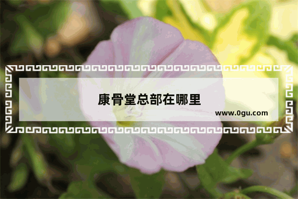 康骨堂总部在哪里