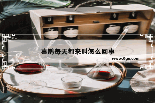 喜鹊每天都来叫怎么回事