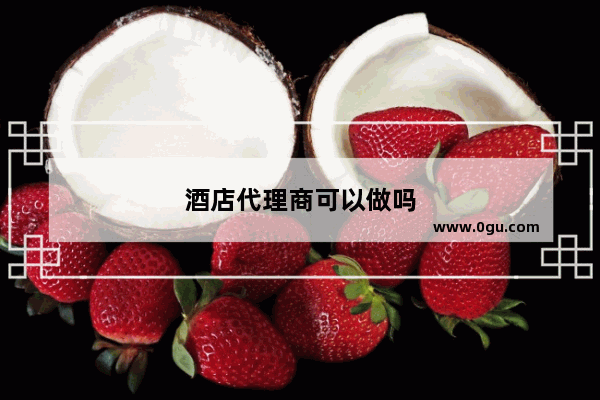酒店代理商可以做吗