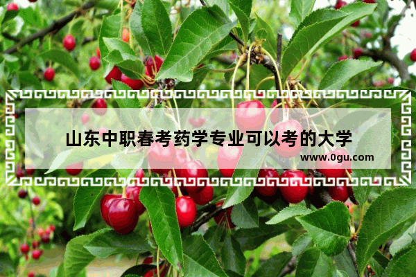 山东中职春考药学专业可以考的大学