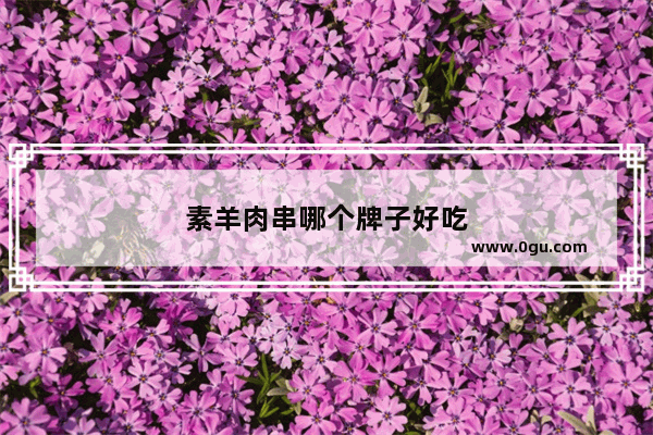 素羊肉串哪个牌子好吃