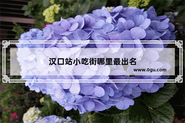 汉口站小吃街哪里最出名