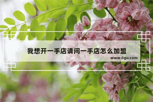 我想开一手店请问一手店怎么加盟
