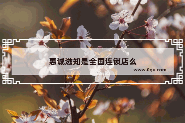 惠诚滋知是全国连锁店么